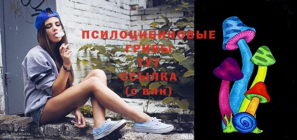 Альфа ПВП Баксан