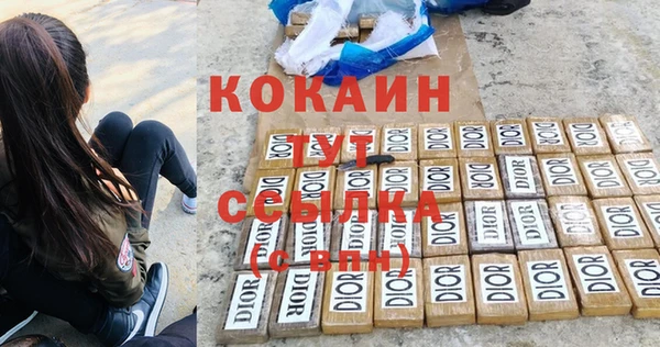 стаф Балахна